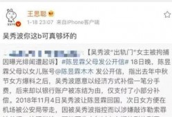 明星黑料合法吗 网红大瓜文件docx,法律边界与道德考量